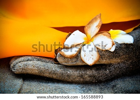 Fallen white flowers in hand of Buddha