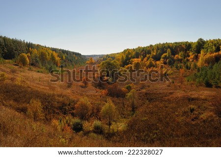 Autumn hills with trees and bushes