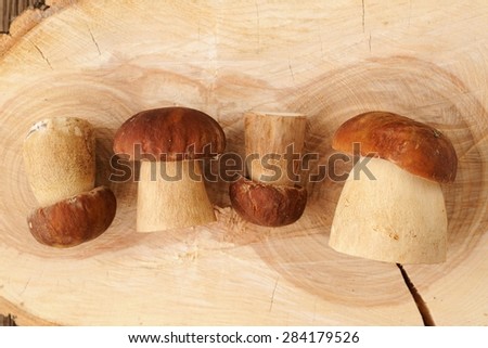 Four wild king bolete mushrooms lying on wooden board with growth rings