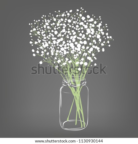 White flowers bouquet. Gypsophila flowers. Transparent clear glass jar. Grey background. Vector Illustration.