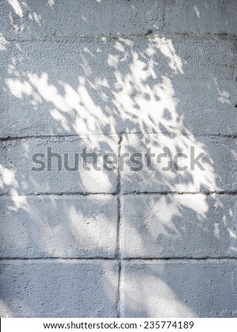 White concrete tile with tree shadow wall background