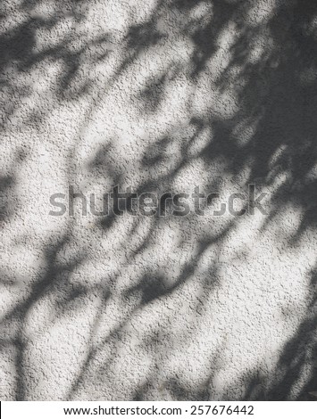 Nature Abstract Background Leaves shadow on wall