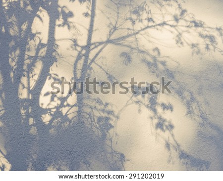 Tree leaves shadow on wall background, Nature Abstract