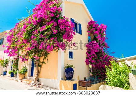 Traditional greek house with flowers in Assos, Kefalonia island, Greece. Blue door and blue window surrounded by magenta flowers.