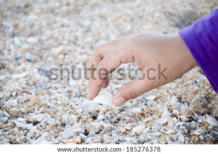 Female Hands Picking Clam Shell At The Beach ~ Selective Focus