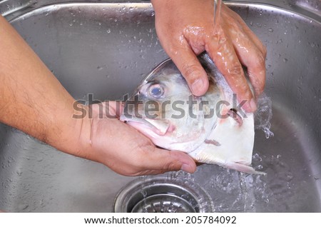 Men Hands Washing Fish Cut At The Sink