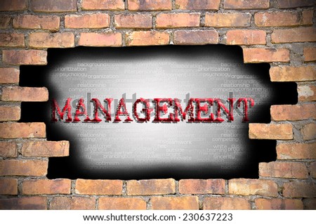 Business Concept - Hole At The Brick Wall And Found Caption Management Inside The Wall