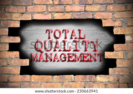 Business Concept - Hole At The Brick Wall And Found Caption Total Quality Management (TQM) Inside The Wall.