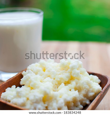 probiotic kefir drink made of milk and tibetan mushroom grains