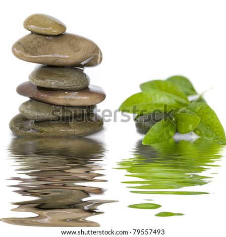 balanced spa stones with green plant and water reflection isolated on white background