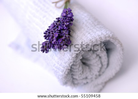 Clean towel with fresh lavender flowers, slightly purple toned