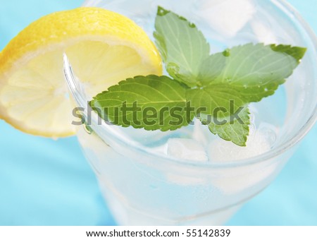 Fresh water with ice cubes, mint and lemon slice