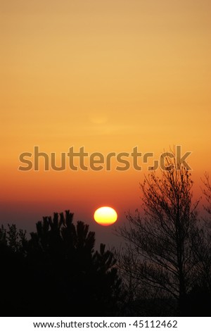 The sun just rising over the sea with trees in the foreground