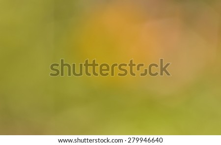 Blurred background derived from a photo taken in spring of green and yellow vegetation.