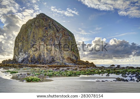 Haystack Rock with evening back lighting at low tide, Cannon Beach, Oregon, with rocks in foreground covered with seaweed and invertebrates. HDR fusion image. Edited out 3 small objects.
