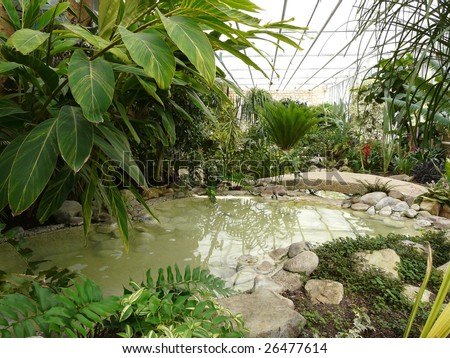 Interior of a tropical greenhouse or hot-house at a Botanical Garden in France