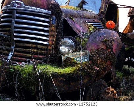 Old International work truck, sitting in a field covered in moss and rust.