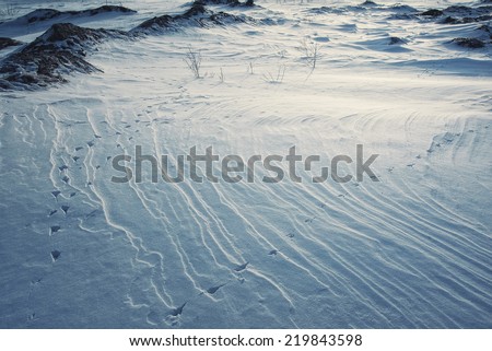 rocks and snow surface texture with bird traces in evening sunlight