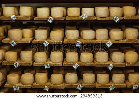 wheels of cheese in a maturing storehouse dairy cellar on wood shelves