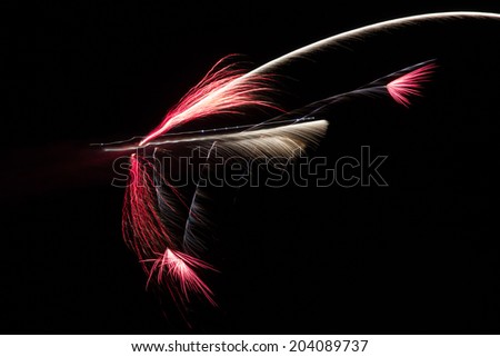 Fireworks in shape of a bird against dark night sky