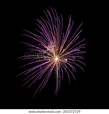 Isolated burst of purple fireworks against black sky background
