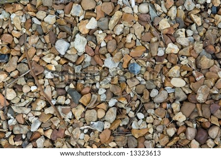 Pebbles, sticks and stones