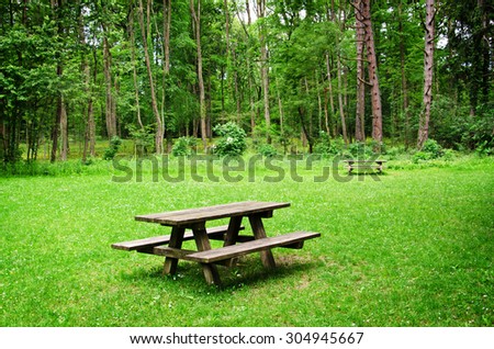 Wooden bench and table on a meadow in the forest. Summer leisure time in the park. Tranquil nature day scene.