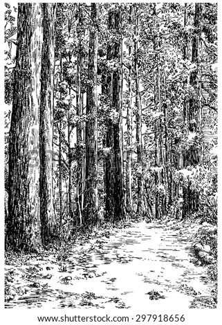 Walking path in the pine alley. Black and white dashed style sketch, line art, drawing with pen and ink. Trend of book illustration and comic art. Retro vintage picture / etching / engraving on paper.