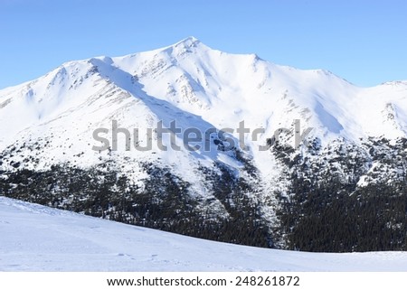 Snowy Mountain and Evergreen Forest Behind Ski Hill at Marmot Basin, Jasper National Park, Alberta, Canada - UNESCO World Heritage