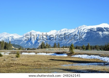 Snowy Peaks of Mountain Range against Cloudless Blue Sky with Evergreen Trees scattered Beneath