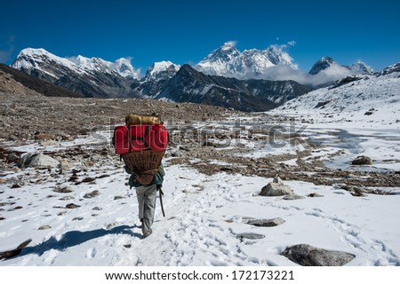 Nepali porter carrying heavy loads from Renjo pass with Mt.Everest in the background, Nepal.