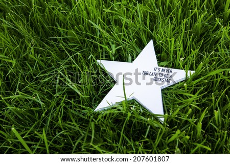 white rustic wooden star on on the grass with the inspirational funny quote 