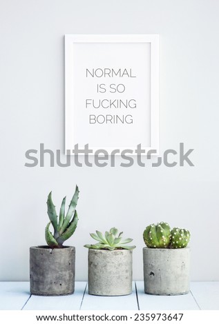 MOTIVATIONAL POSTER WITH SUCCULENTS IN CONCRETE POTS  \
