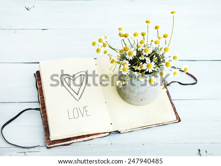 sketchbook with heart drawing and daisy flowers in a pot Love sketchbook with heart drawing and daisy flowers in a pot Love
