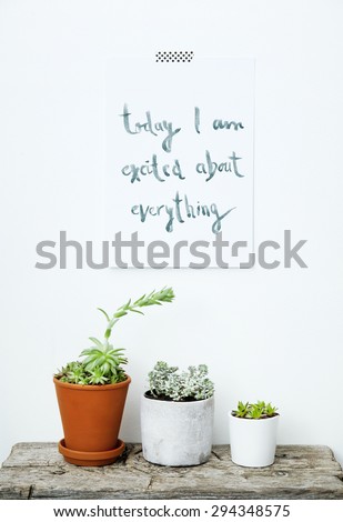 PAPER ON THE WALL  WITH MOTIVATIONAL  QUOTE TODAY I AM EXCITED ABOUT EVERYTHING WITH SUCCULENTS  AND CACTUS