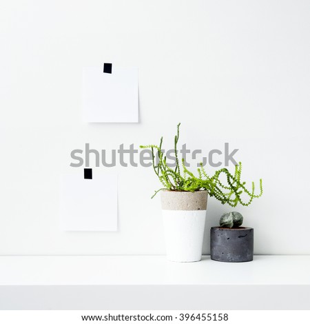 Mock up. Scandinavian interior design. Hipster motivational set with cactus and succulent in concrete pot. Note paper on the wall.