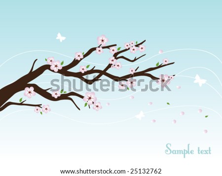 cherry blossom branch drawing. cherry tree drawing in