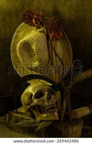 Still life skull . Cap machine weave and Agricultural tools