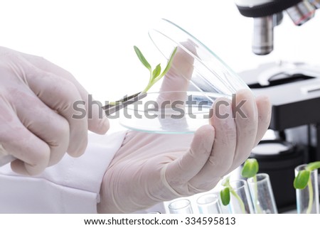 Research Scientist (sunflower industry laboratory, for use in the agriculture industry)