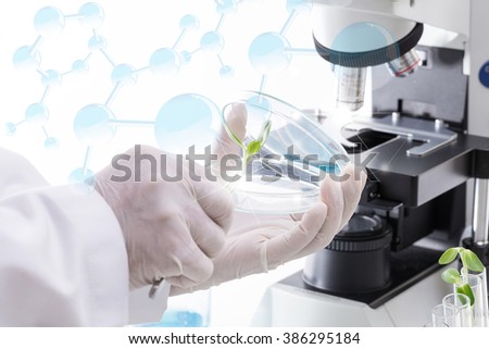Research Scientist (sunflower industry laboratory, for use in the agriculture industry)