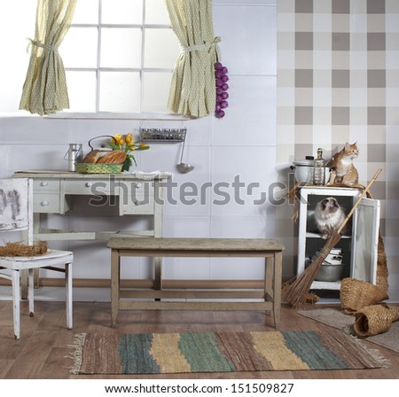 old kitchen with window, cats and light furniture