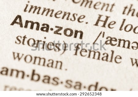 Definition of word Amazon in dictionary