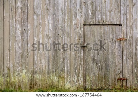 Old weathered barn wood wall with closed access door and grassy mossy bottom