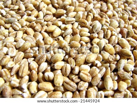 pearl barley