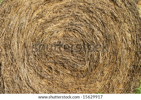 closeup of round hay bale, can be used for good background/texture