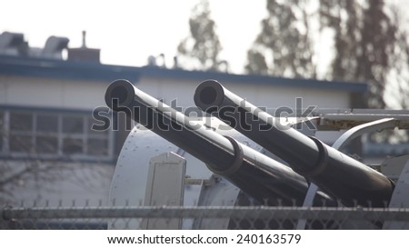 Ship cannon