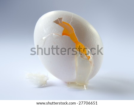 A white egg with a cut and its yolk and its egg white coming out. A small feather is lying next to the egg.