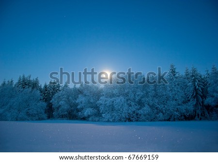 Nightly landscape with snow and moon (at Mt. Essigberg near Kassel, Germany)