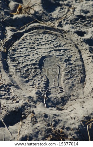Elephant and human footprint in one