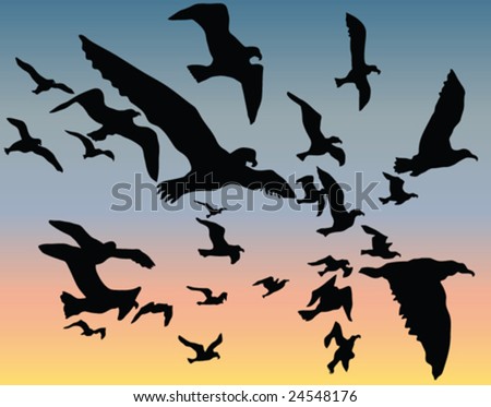 Bird Flock Silhouette